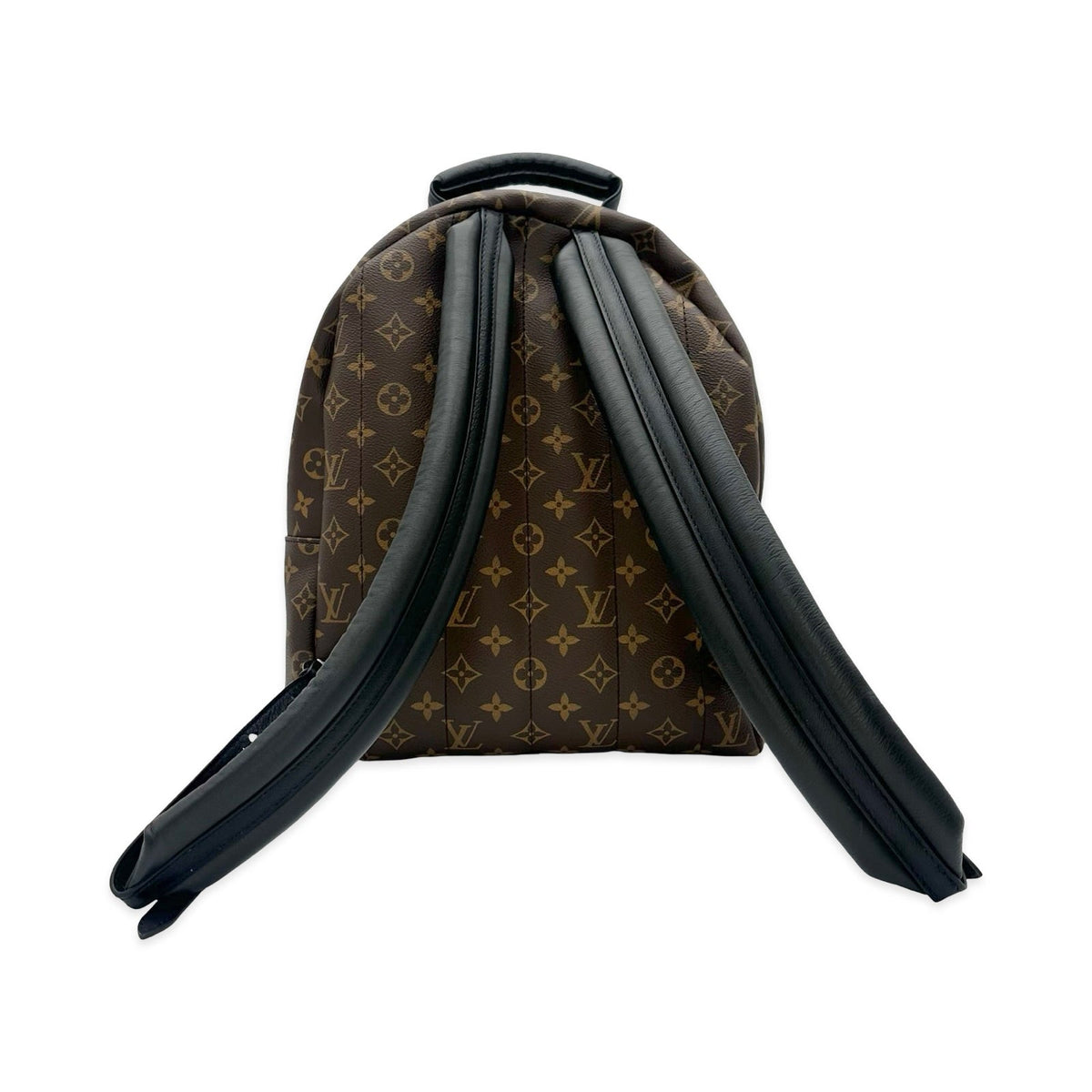 Louis Vuitton Monogram Palm Springs Backpack MM