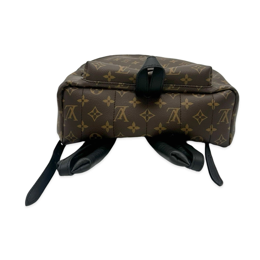 Louis Vuitton Monogram Palm Springs Backpack MM