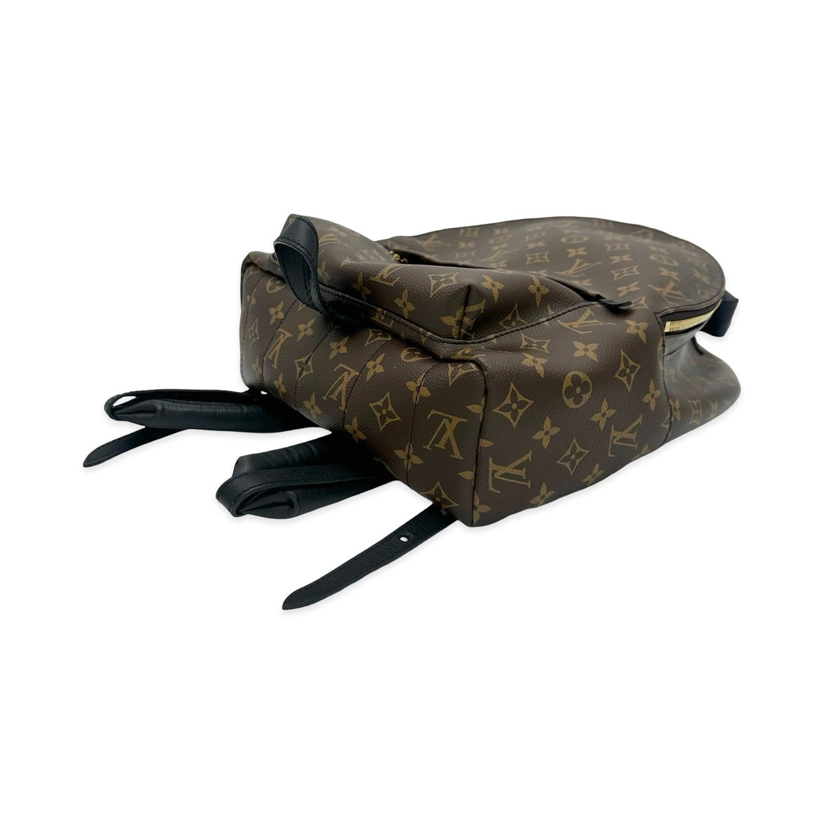 Louis Vuitton Monogram Palm Springs Backpack MM