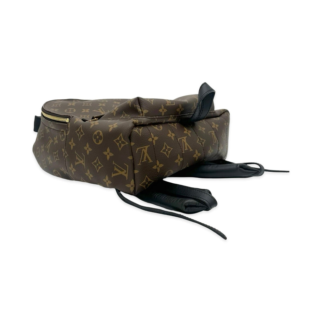 Louis Vuitton Monogram Palm Springs Backpack MM