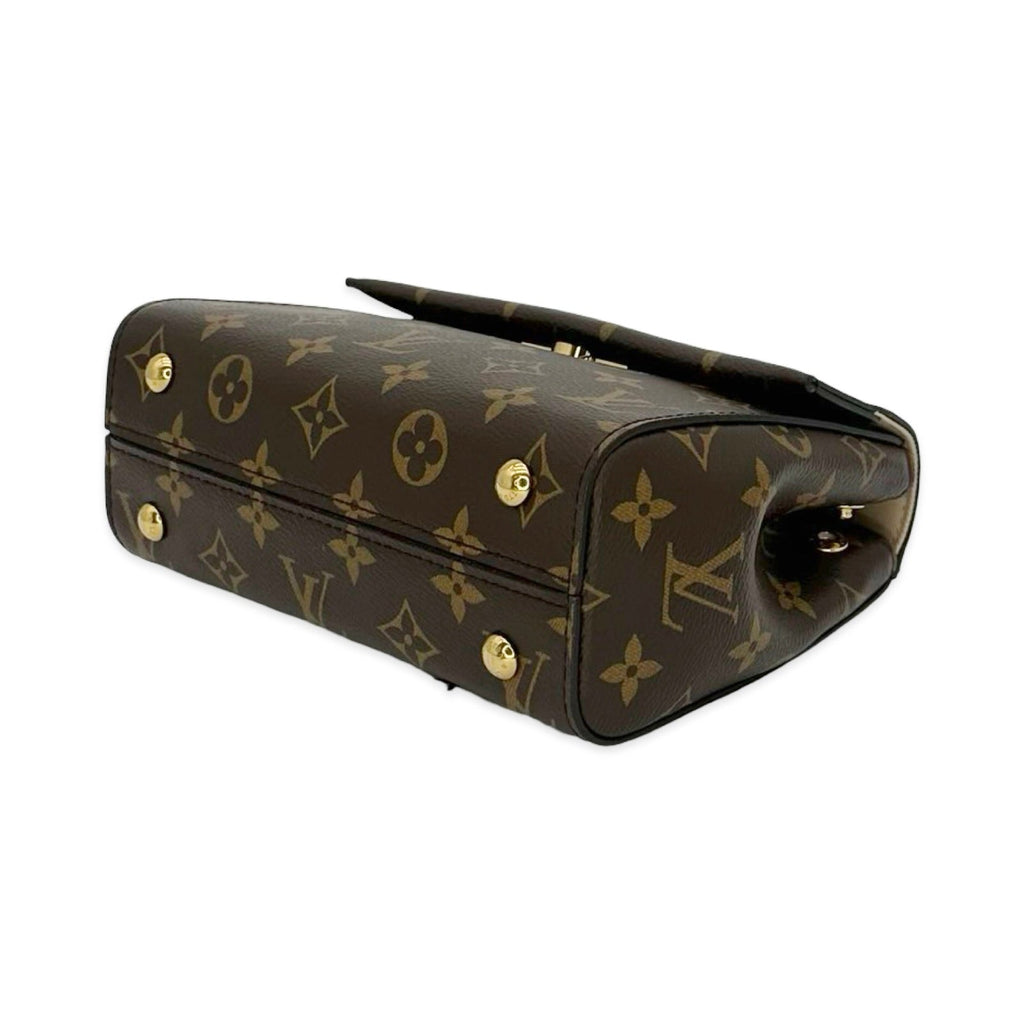 Louis Vuitton Monogram Cluny Mini