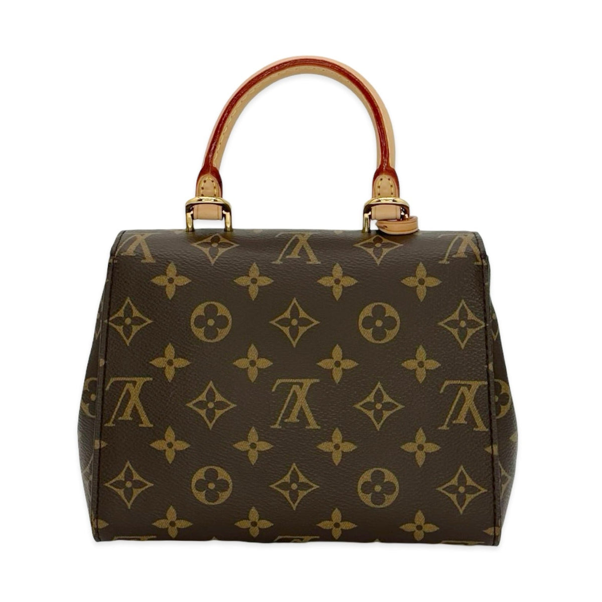 Louis Vuitton Monogram Cluny Mini