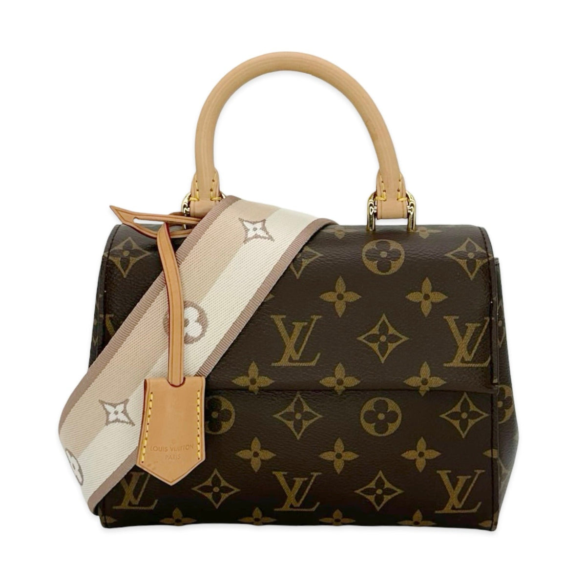 Louis Vuitton Monogram Cluny Mini