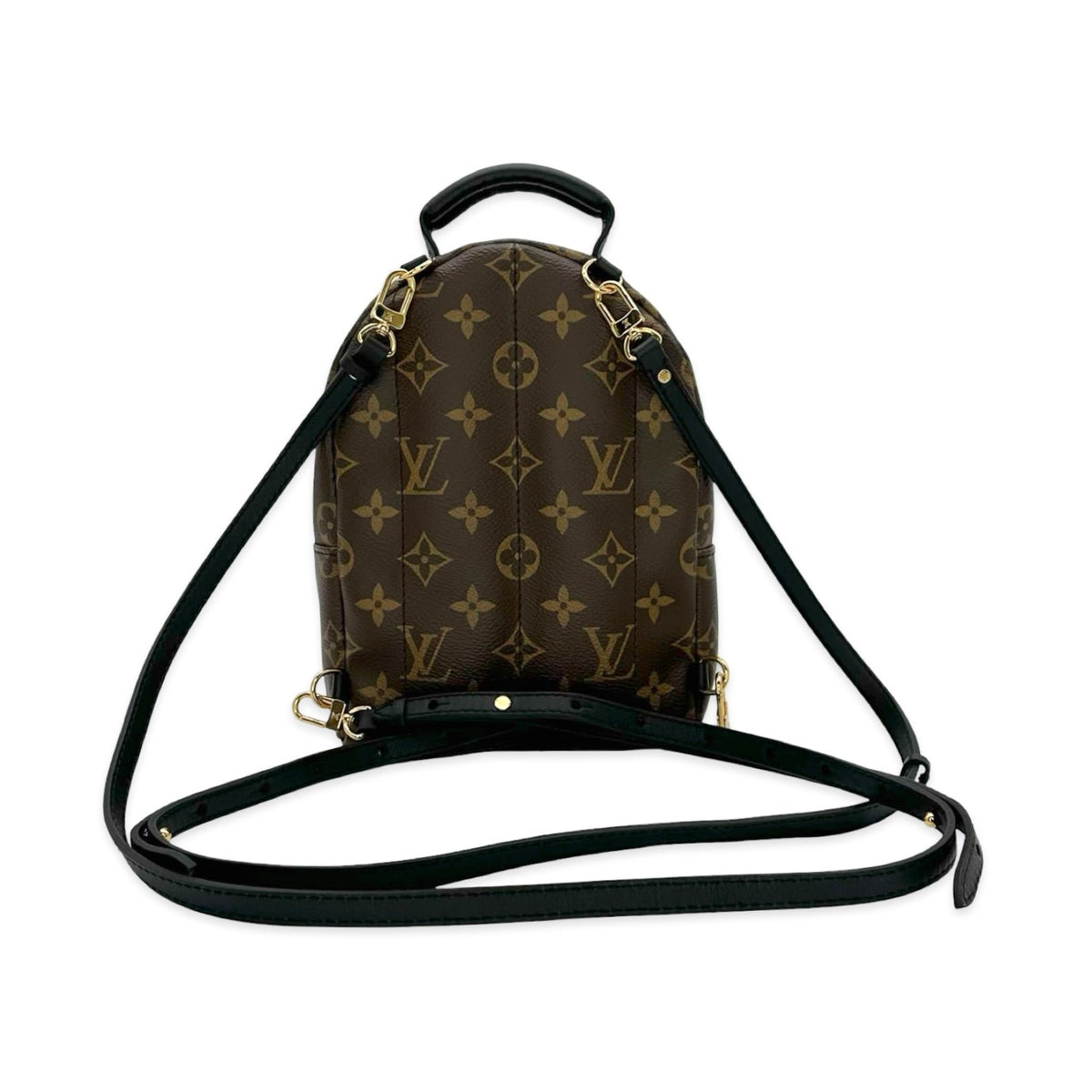 Louis Vuitton Monogram Mini Palm Springs Backpack