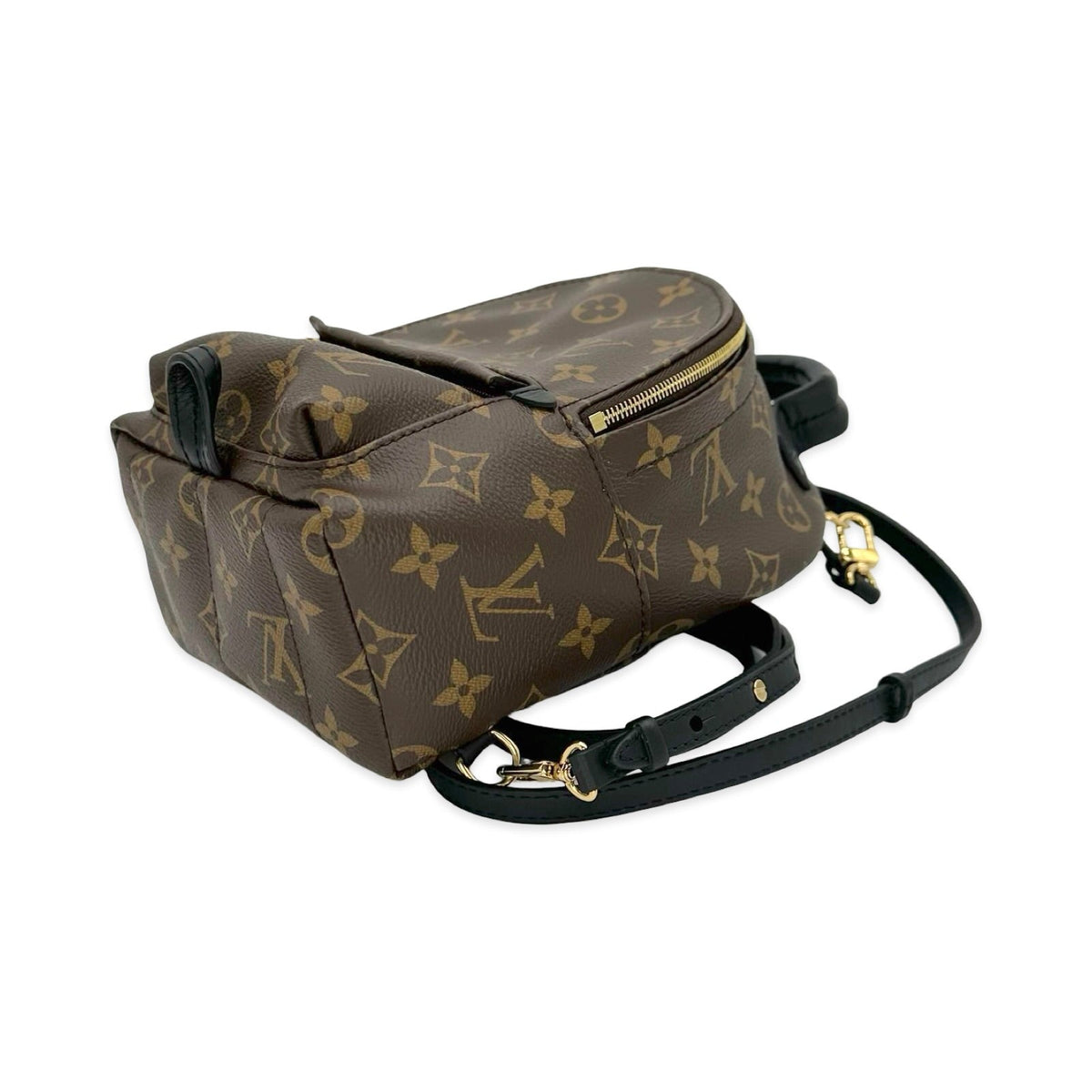 Louis Vuitton Monogram Mini Palm Springs Backpack