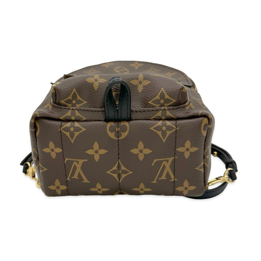 Louis Vuitton Monogram Mini Palm Springs Backpack