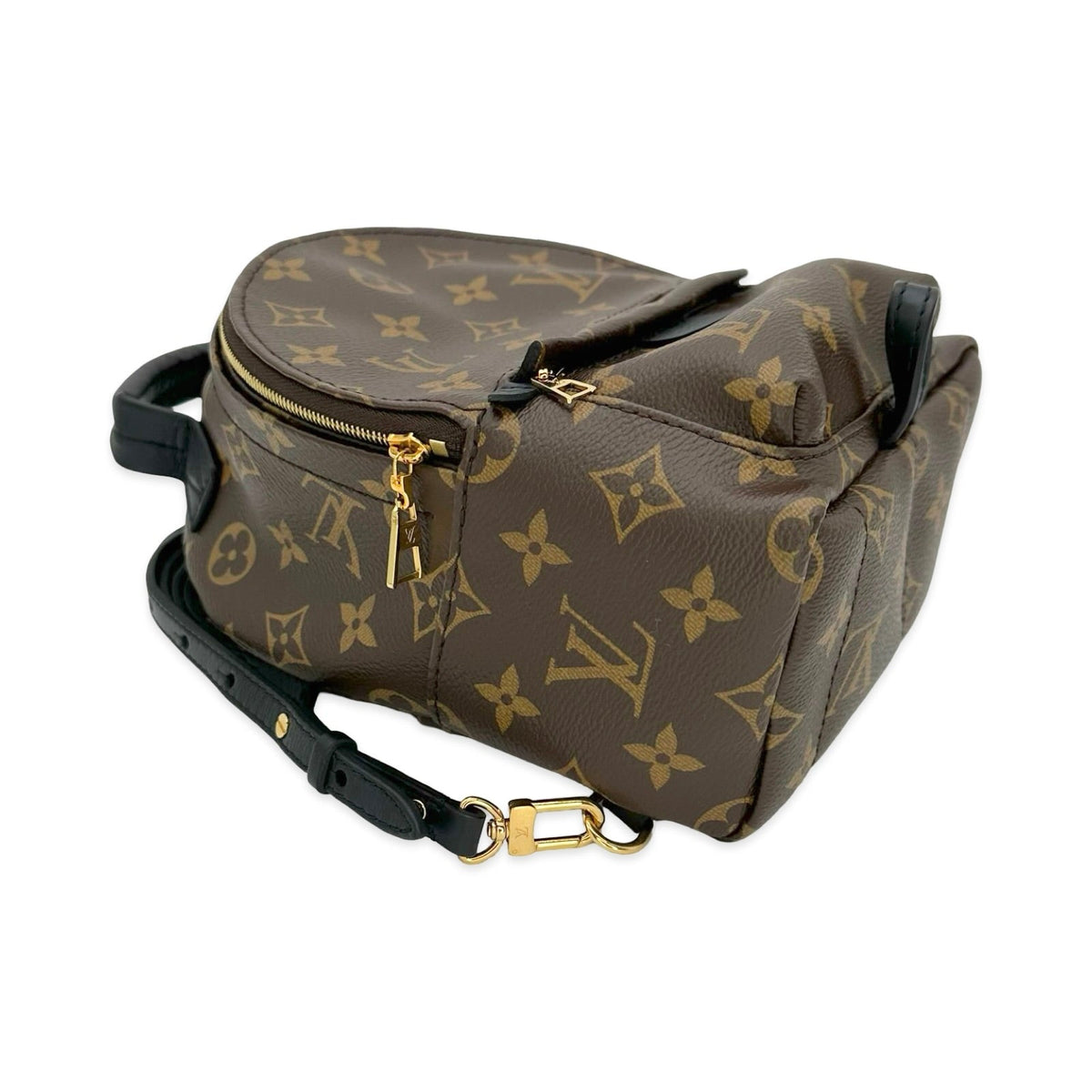 Louis Vuitton Monogram Mini Palm Springs Backpack