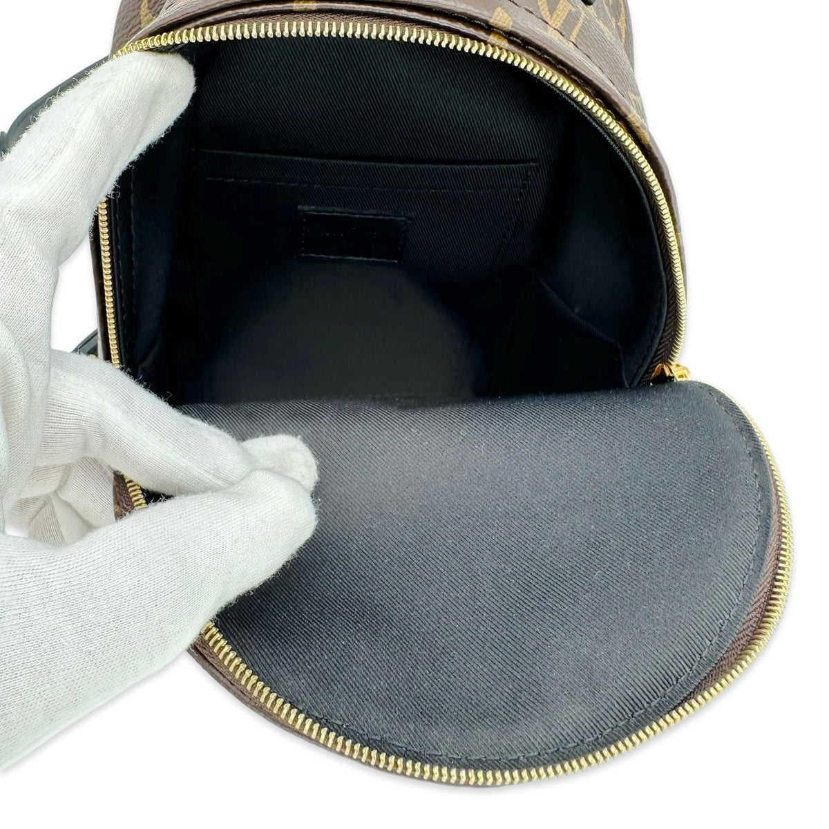 Louis Vuitton Monogram Mini Palm Springs Backpack
