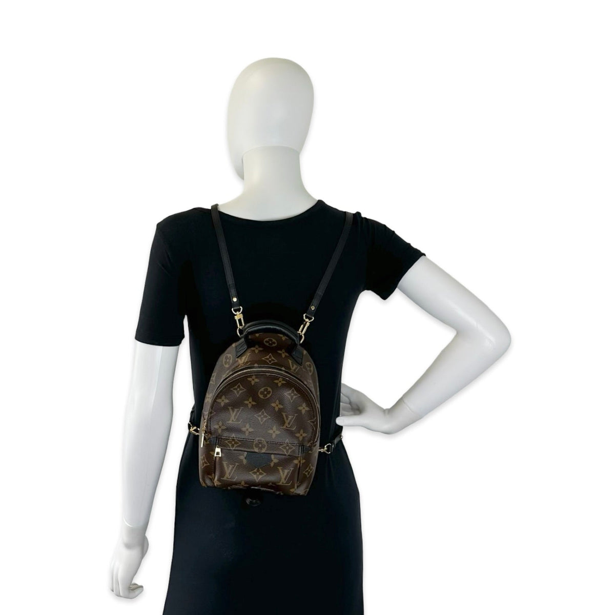 Louis Vuitton Monogram Mini Palm Springs Backpack