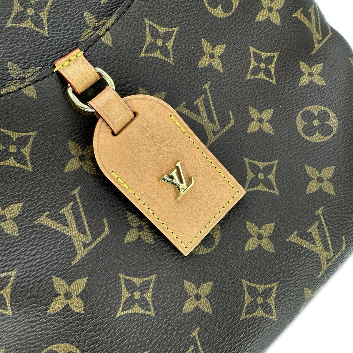 Louis Vuitton Monogram Odeon PM