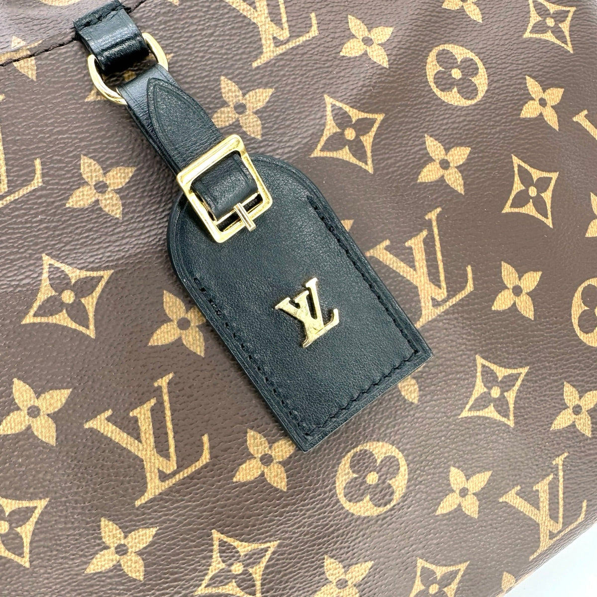 Louis Vuitton Monogram Odeon MM