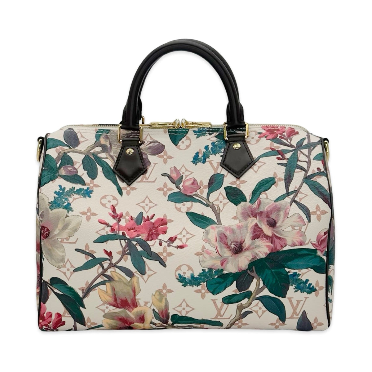 Louis Vuitton Monogram Dune Eden Speedy Soft 30