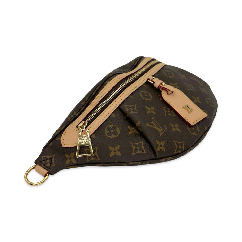 Louis Vuitton Monogram High Rise Bum Bag