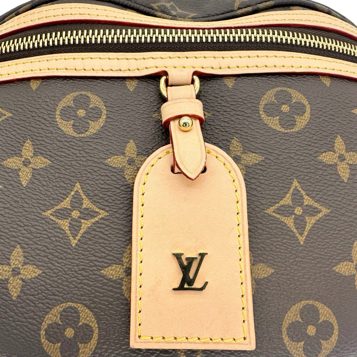 Louis Vuitton Monogram High Rise Bum Bag