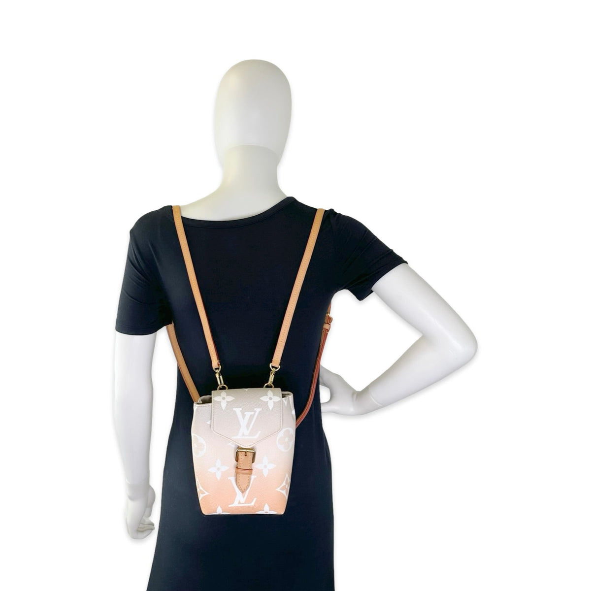 Louis Vuitton Monogram Spring in the City Tiny Backpack