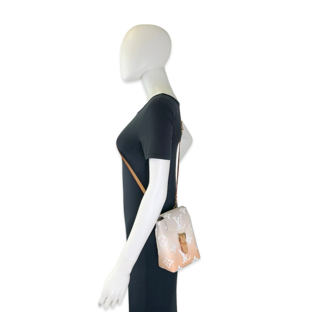 Louis Vuitton Monogram Spring in the City Tiny Backpack