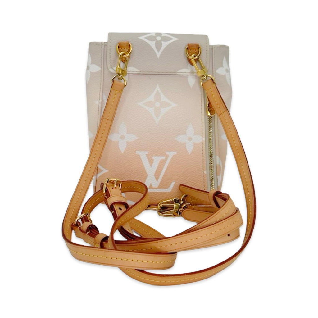 Louis Vuitton Monogram Spring in the City Tiny Backpack