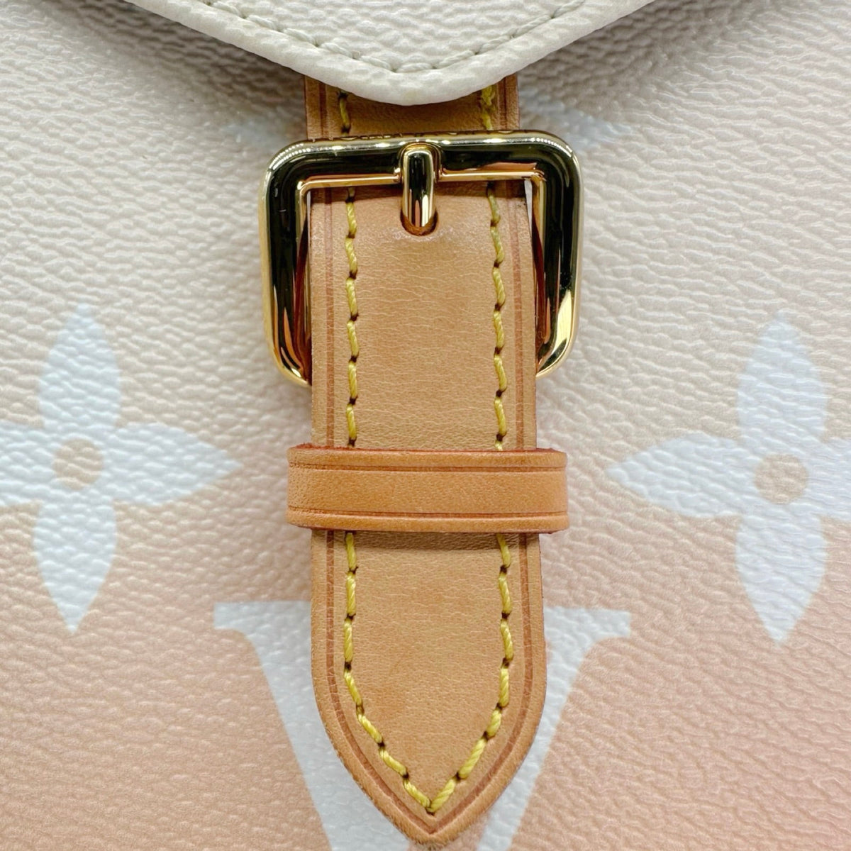 Louis Vuitton Monogram Spring in the City Tiny Backpack