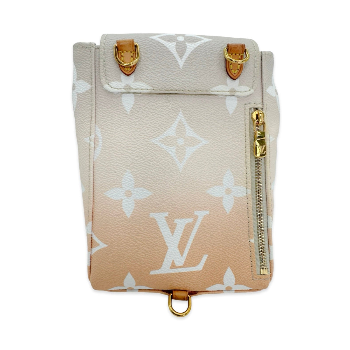Louis Vuitton Monogram Spring in the City Tiny Backpack